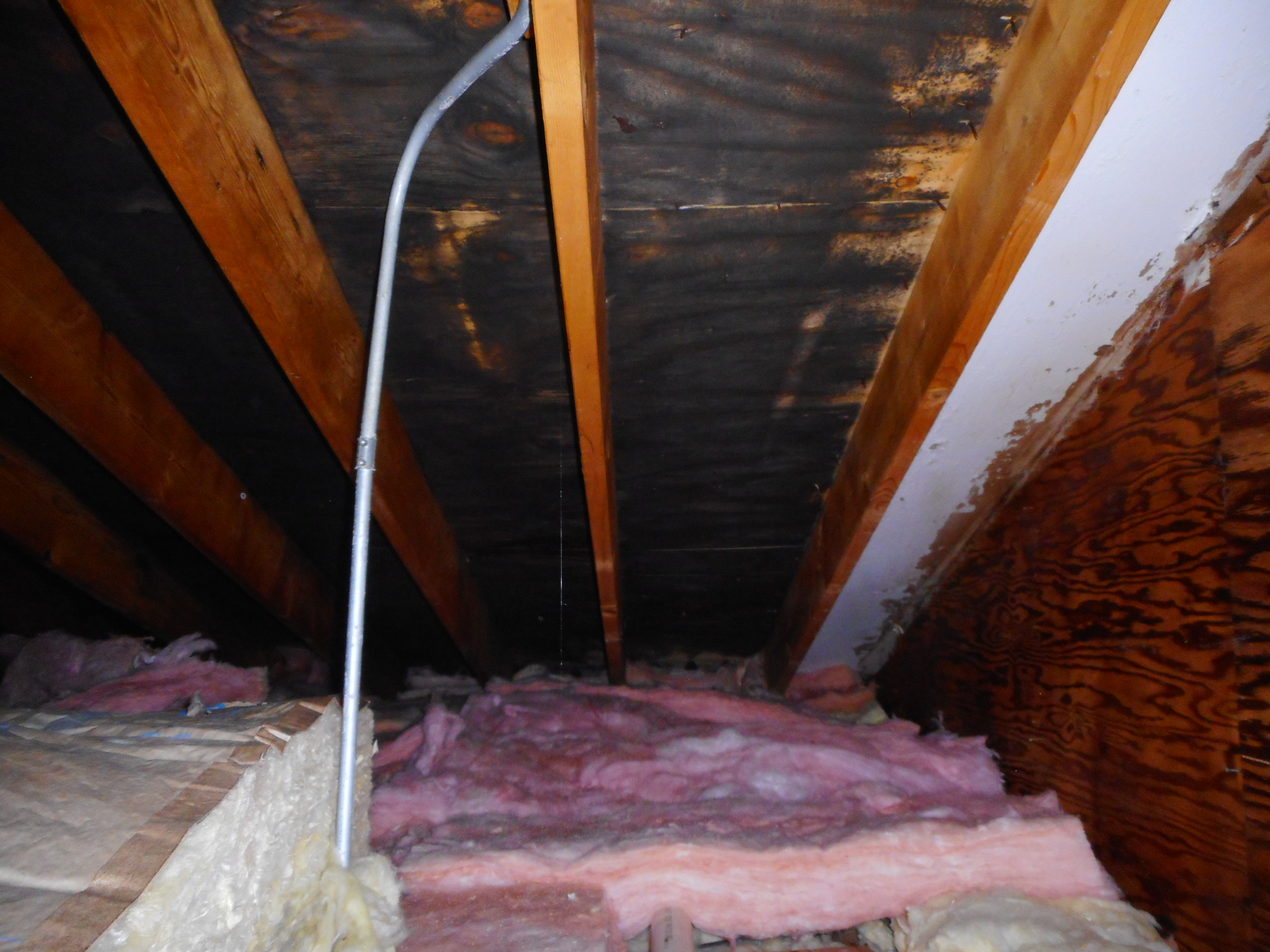 Poor Ventilation and Mold Growth