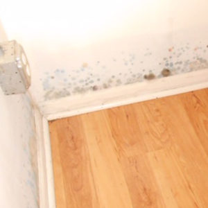 Mold When Closing on a Home