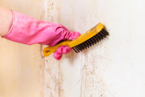 Cleaning Wall Brush Image