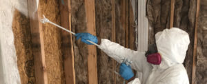 Man in Suit with Fogger Image