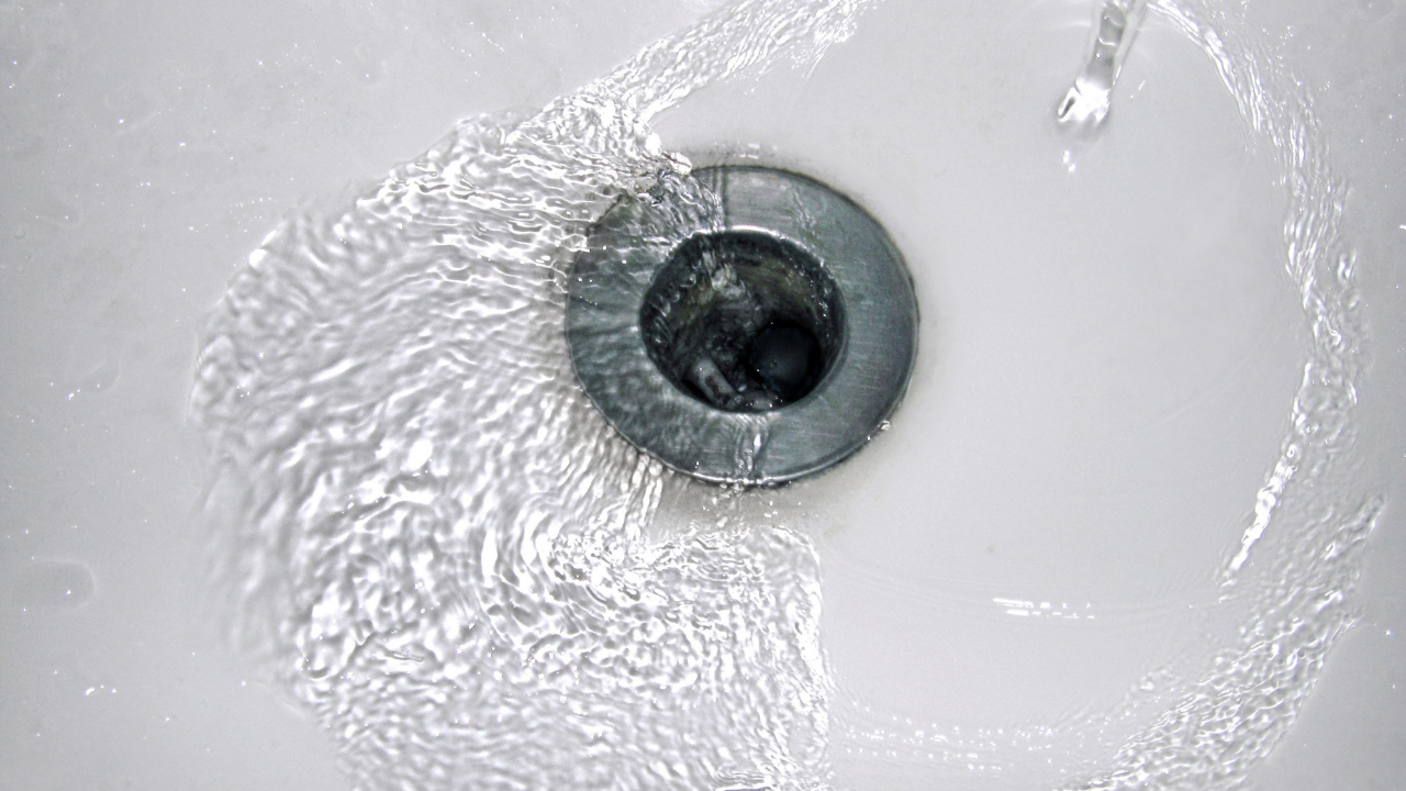 Mold Growth In Drains
