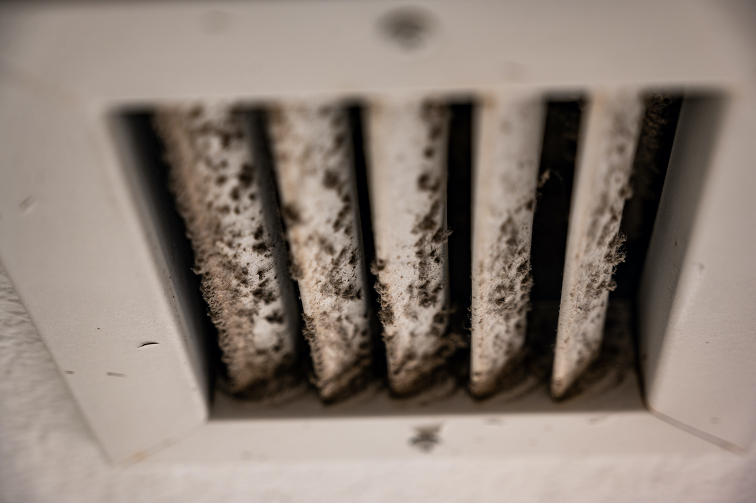 Battling Mold on Vents: Effective Solutions and Prevention Tips