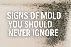 signs of mold you should never ignore