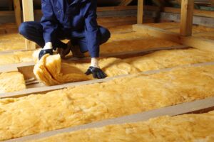 mold on fiberglass insulation