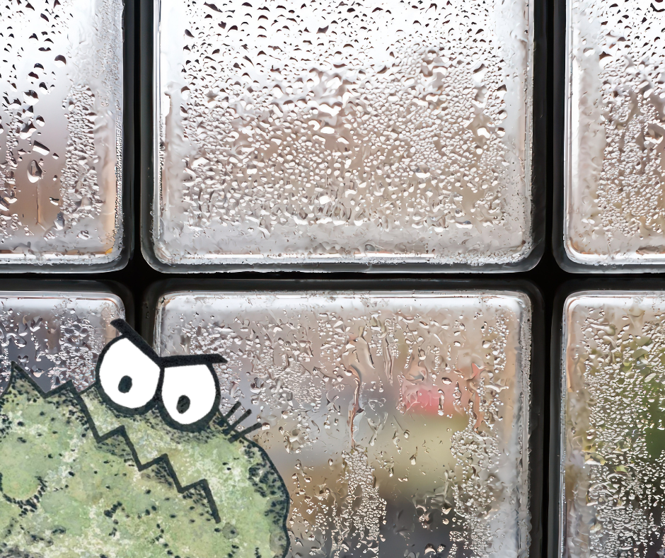 condensation mold in winter