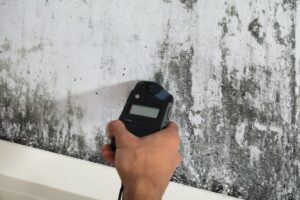 air quality mold testing st louis