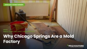 Water-damaged Chicago basement — how spring weather creates perfect conditions for mold