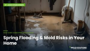 Flooded basement in a St. Louis home — spring flooding and mold risks