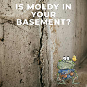 basement mold Chicago homes