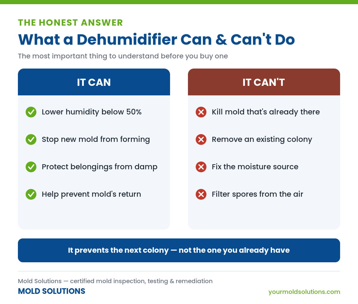 What a dehumidifier can and cannot do about mold