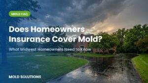Does homeowners insurance cover mold? What Midwest homeowners need to know — Mold Solutions