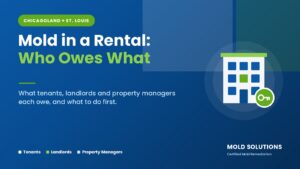 Mold in a rental: what tenants, landlords and property managers each owe in Chicagoland and St. Louis