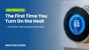 Smart thermostat set to 63 degrees on a home wall: what a musty smell means the first time you turn on the heat in Chicagoland and St. Louis